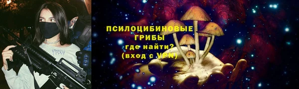 мяу мяу мука Магас