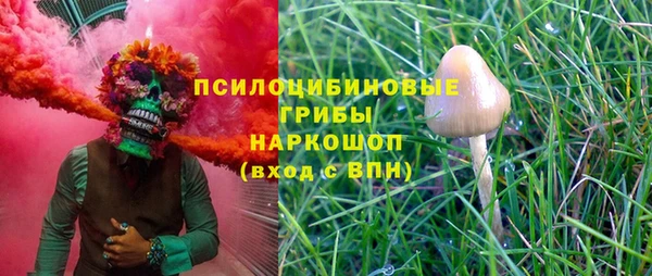 ГАЛЛЮЦИНОГЕННЫЕ ГРИБЫ Майский