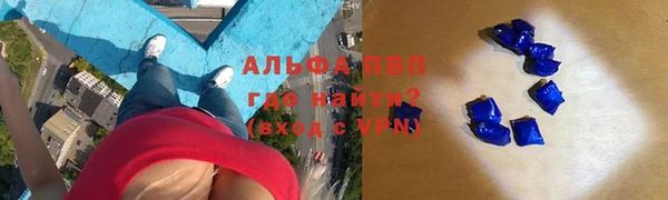соль ск Медногорск