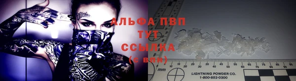 прущие крисы Медвежьегорск