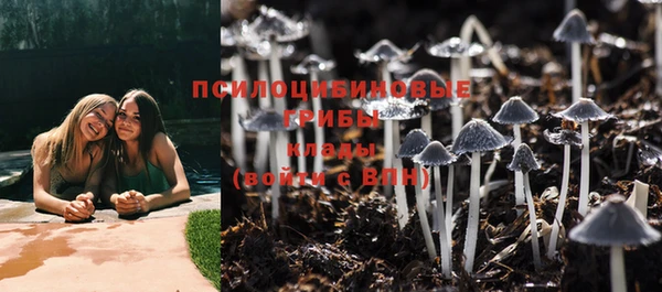ГАЛЛЮЦИНОГЕННЫЕ ГРИБЫ Майский